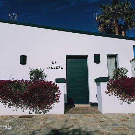 Casa La Palmera - Solo Familias Y Parejas Conil De La Frontera Luaran gambar