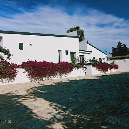 Casa La Palmera - Solo Familias Y Parejas Conil De La Frontera Luaran gambar