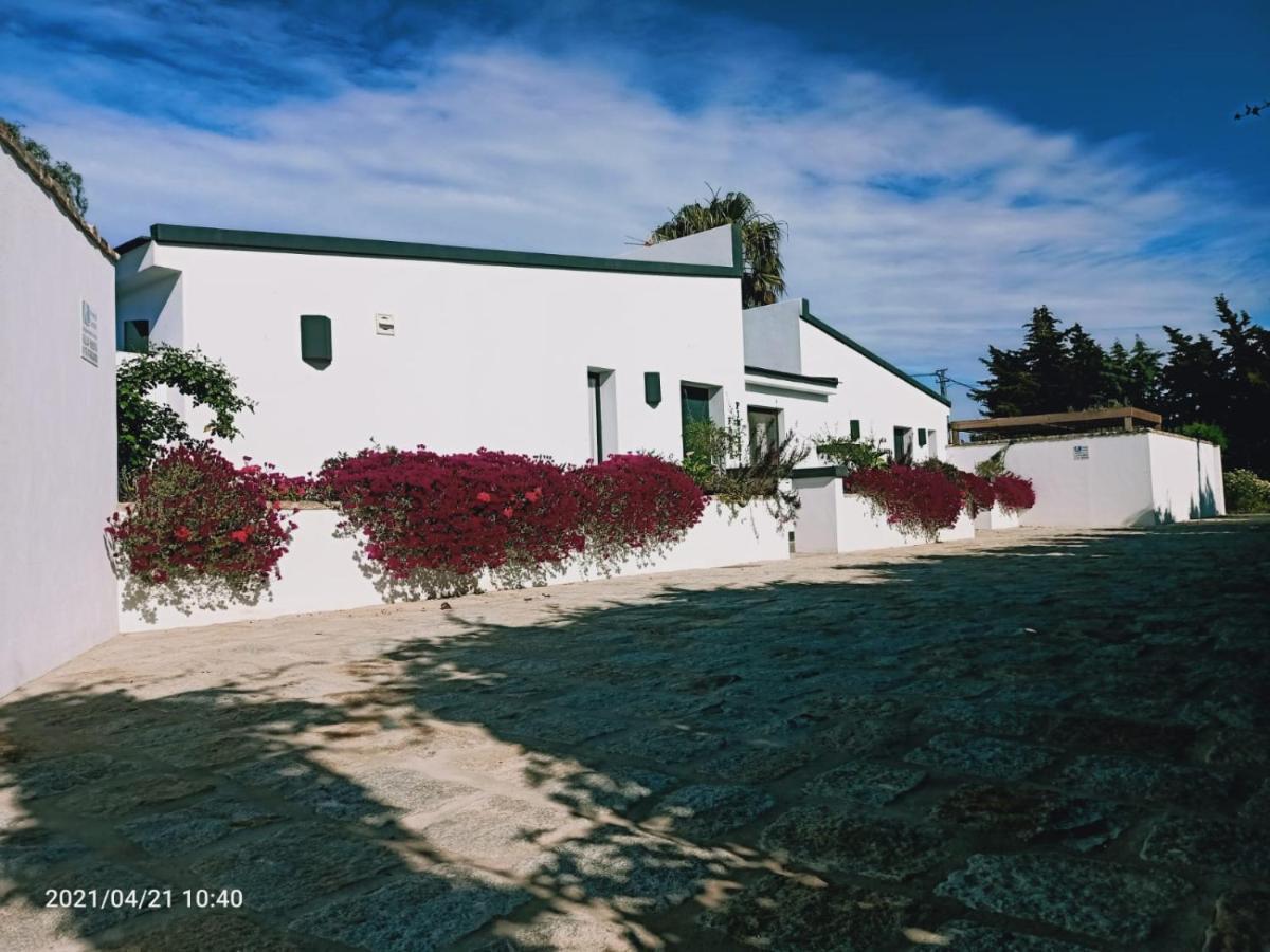 Casa La Palmera - Solo Familias Y Parejas Conil De La Frontera Luaran gambar